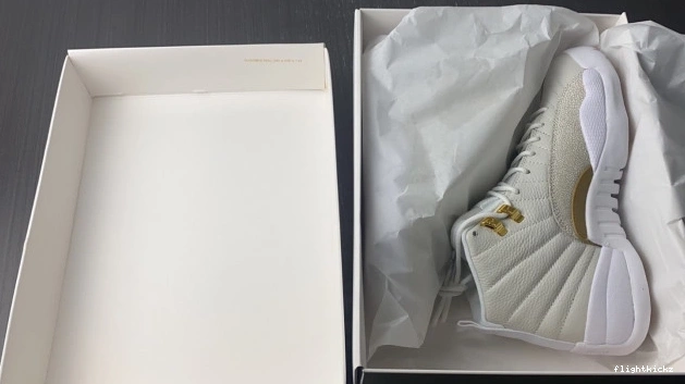 White Jordan OVO 12 873864-102 Retro 1002